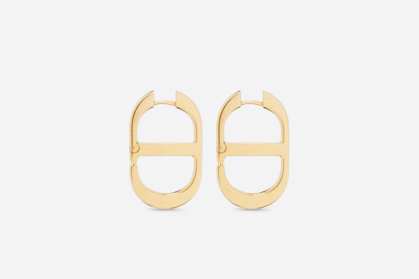18K Dior 30 Montaigne Rani Pink Earrings