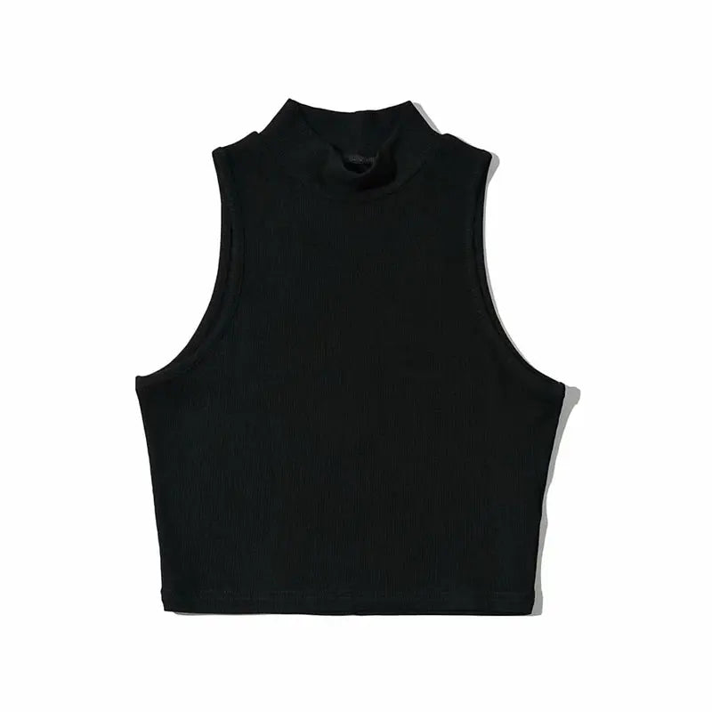 High Neck Sleeveless Crop Top