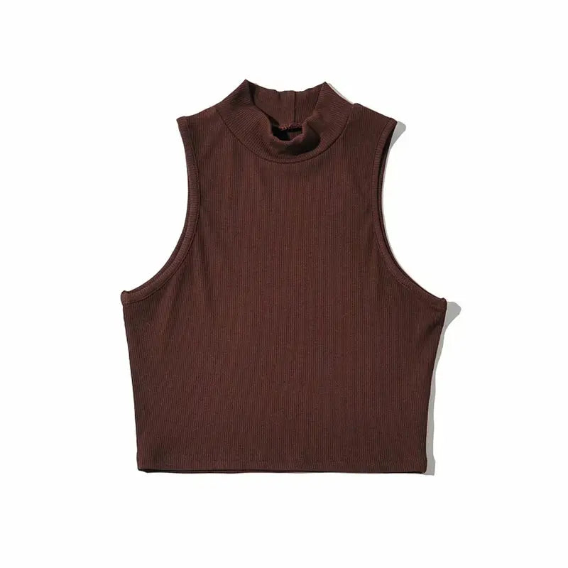 High Neck Sleeveless Crop Top