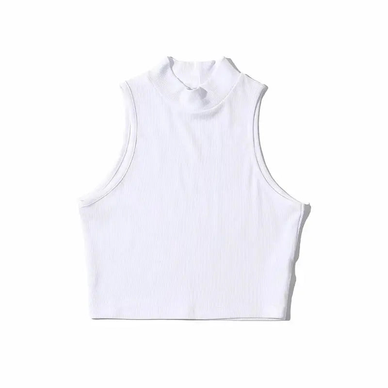 High Neck Sleeveless Crop Top