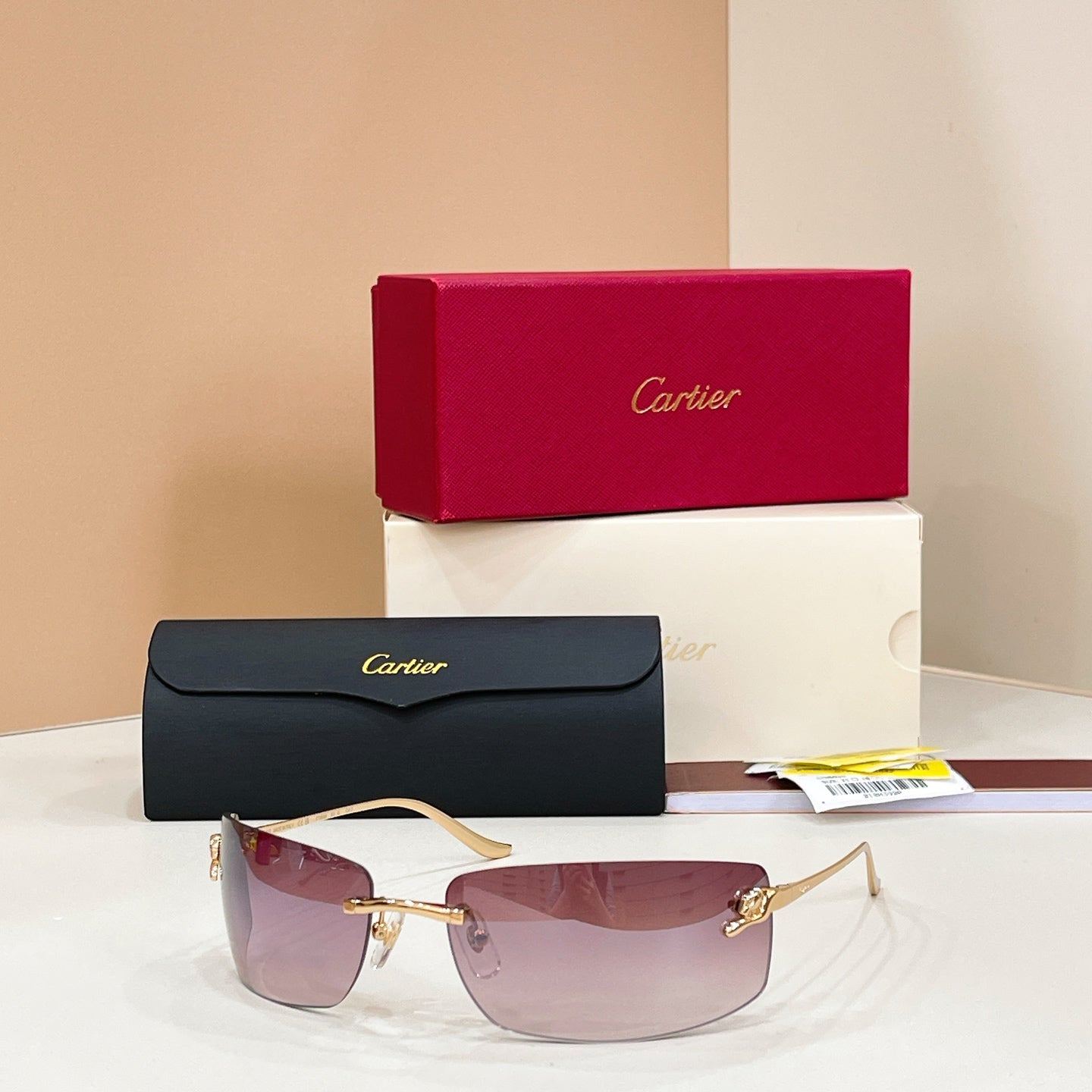 Cartier CT0503S Sunglasses