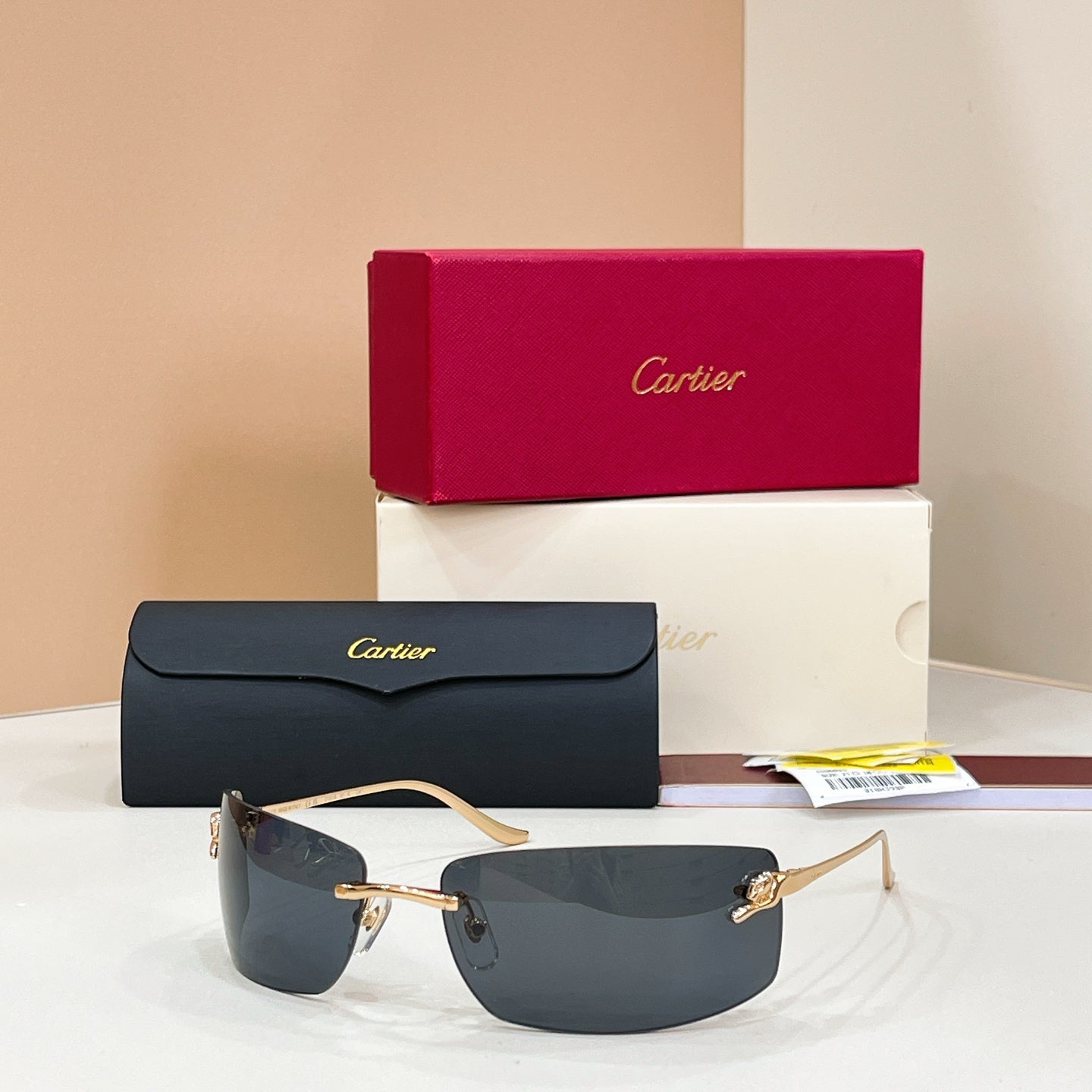 Cartier CT0503S Sunglasses
